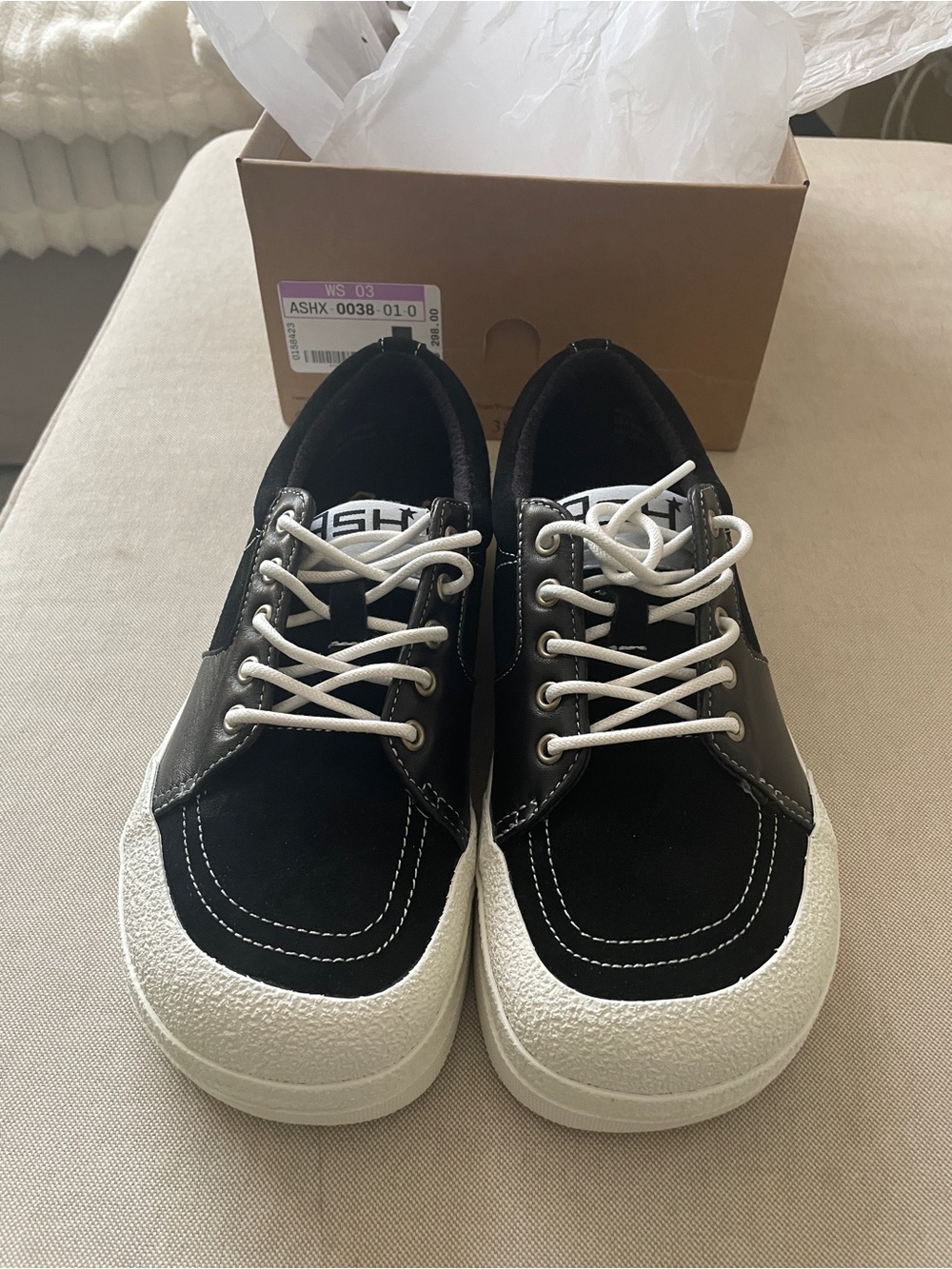 BRAND NEW Ash Aster